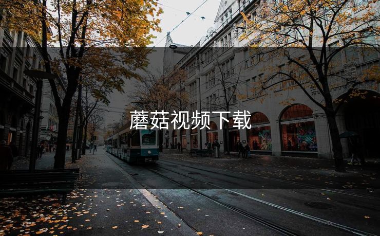 蘑菇视频下载