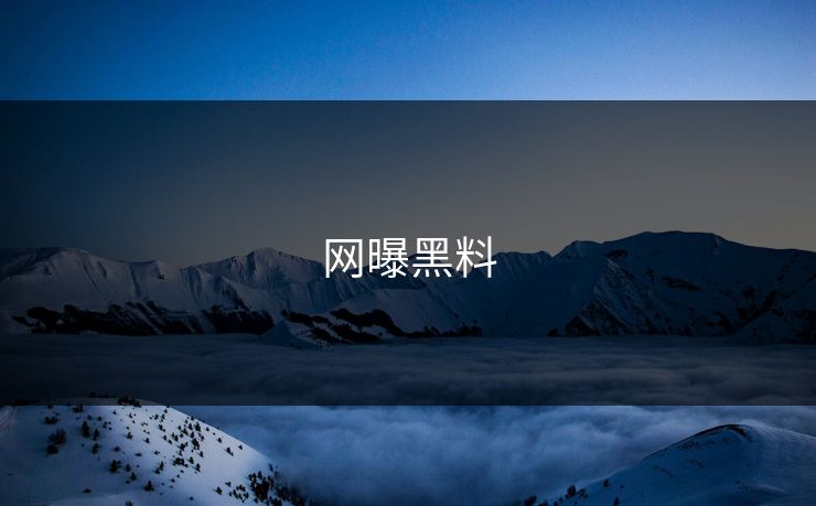 网曝黑料