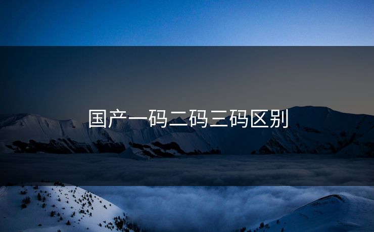国产一码二码三码区别