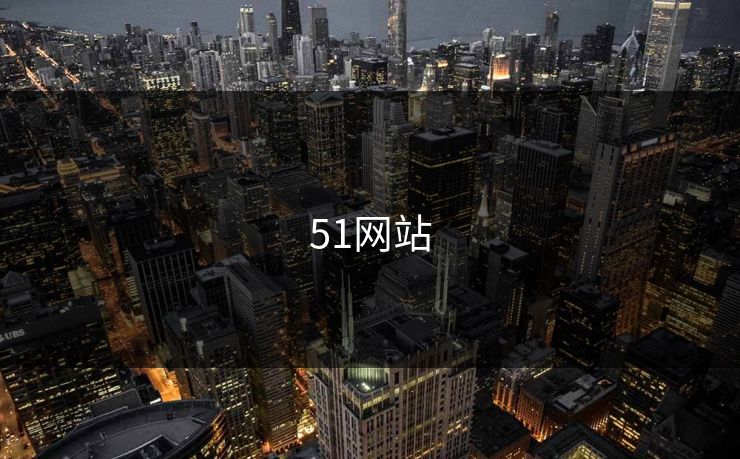 51网站 51网站