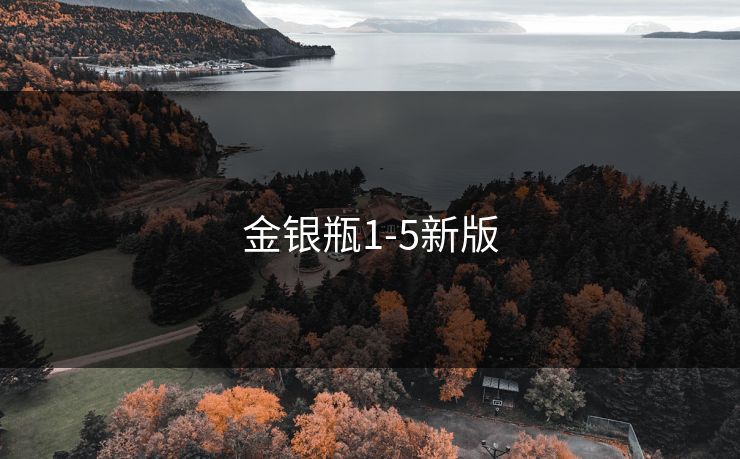 金银瓶1-5新版