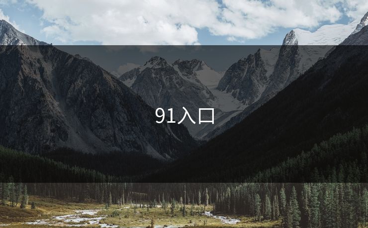 91入口