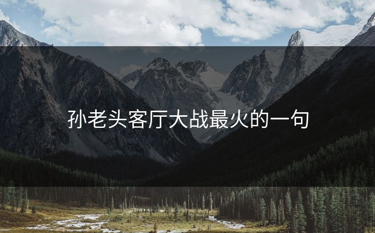 孙老头客厅大战最火的一句